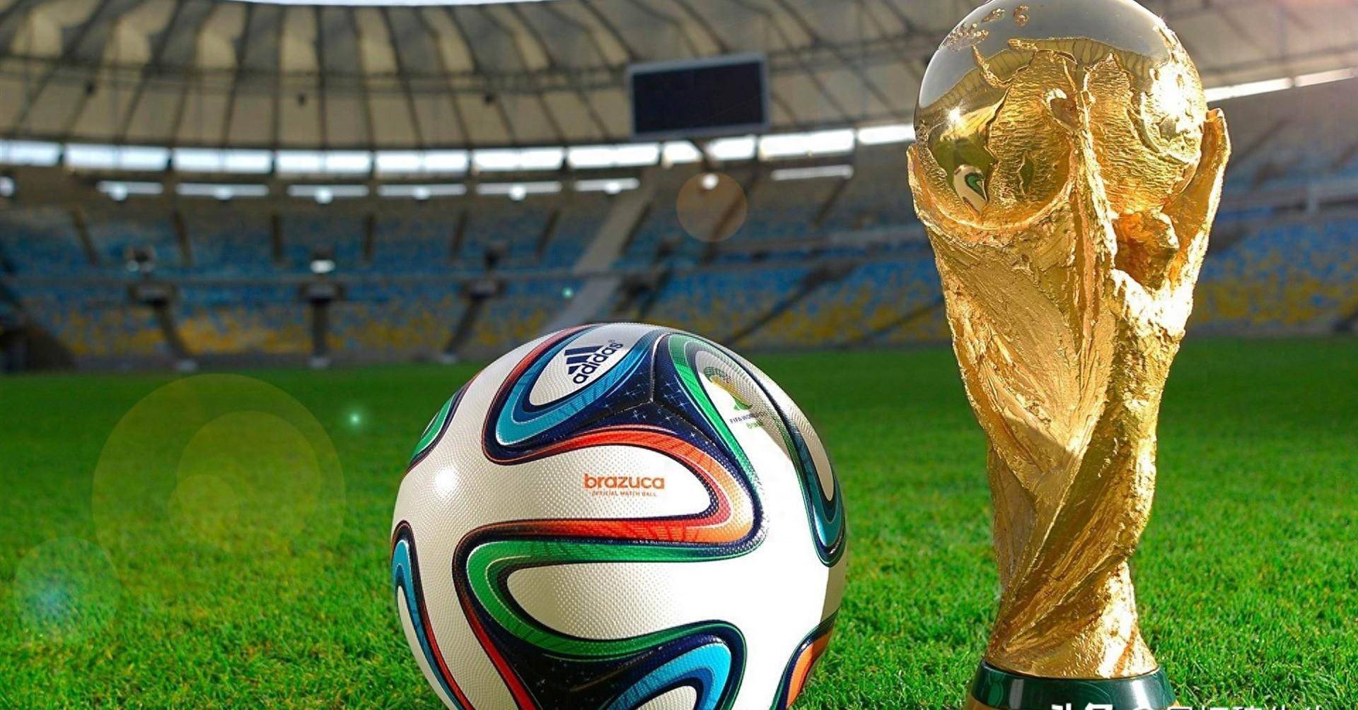 的关键一步 的关键一步