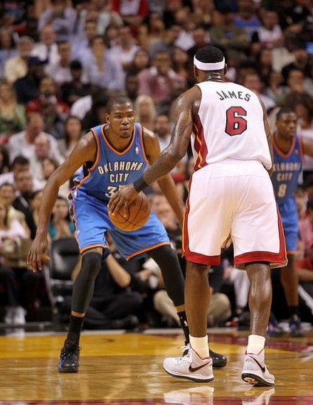 了新一届的 了新一届的