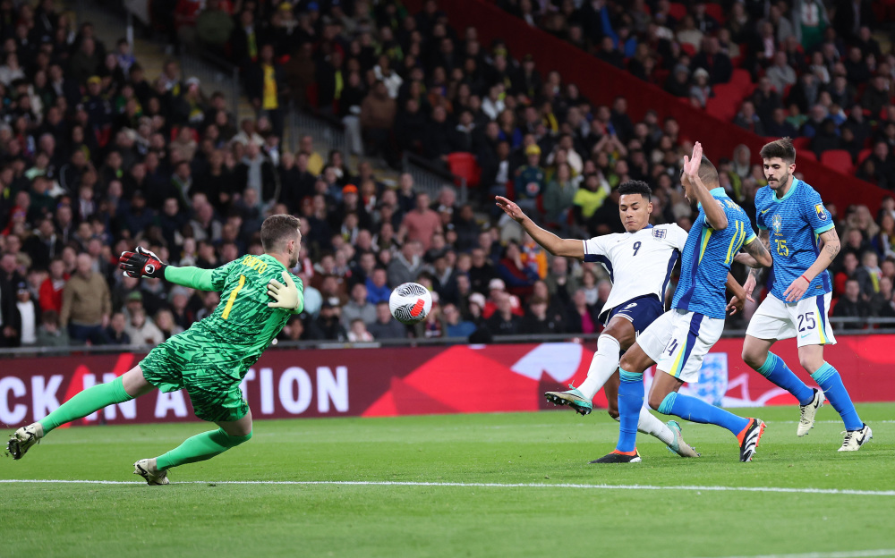 萨球迷支持 萨球迷支持