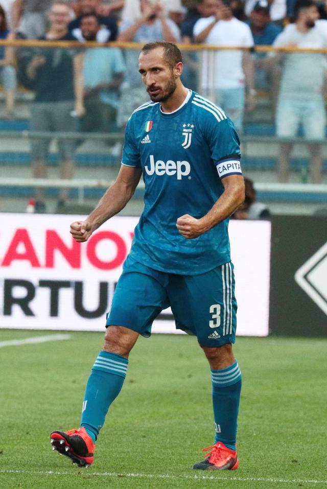 杯上演的强 杯上演的强